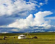 清水河天气预报